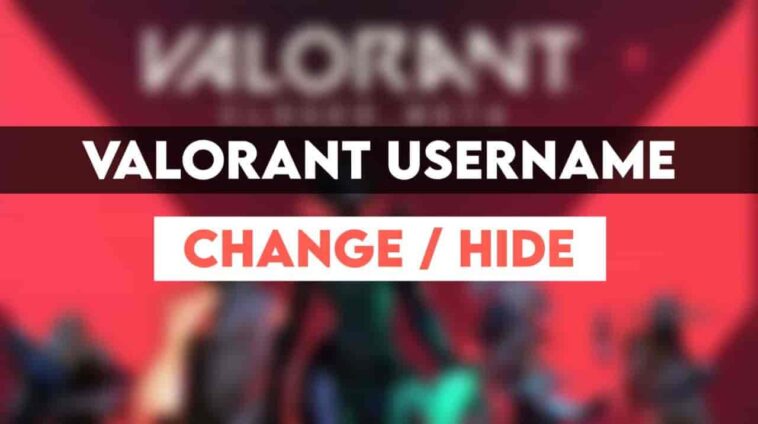 valorant username change