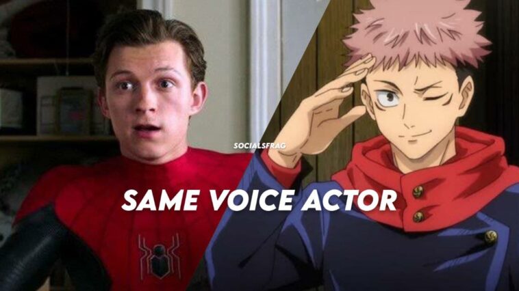 yuji itadori and spiderman, spiderman voice actor and jujutsu kaisen