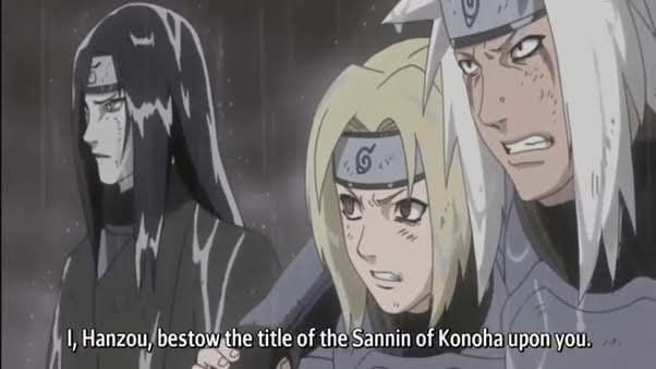 In which war the Sanin were considered heroes?